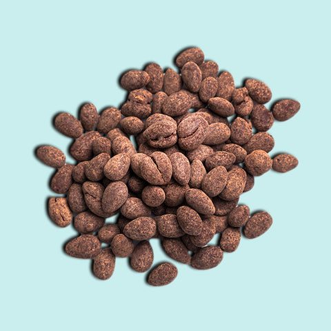 Chocolate Covered Almonds