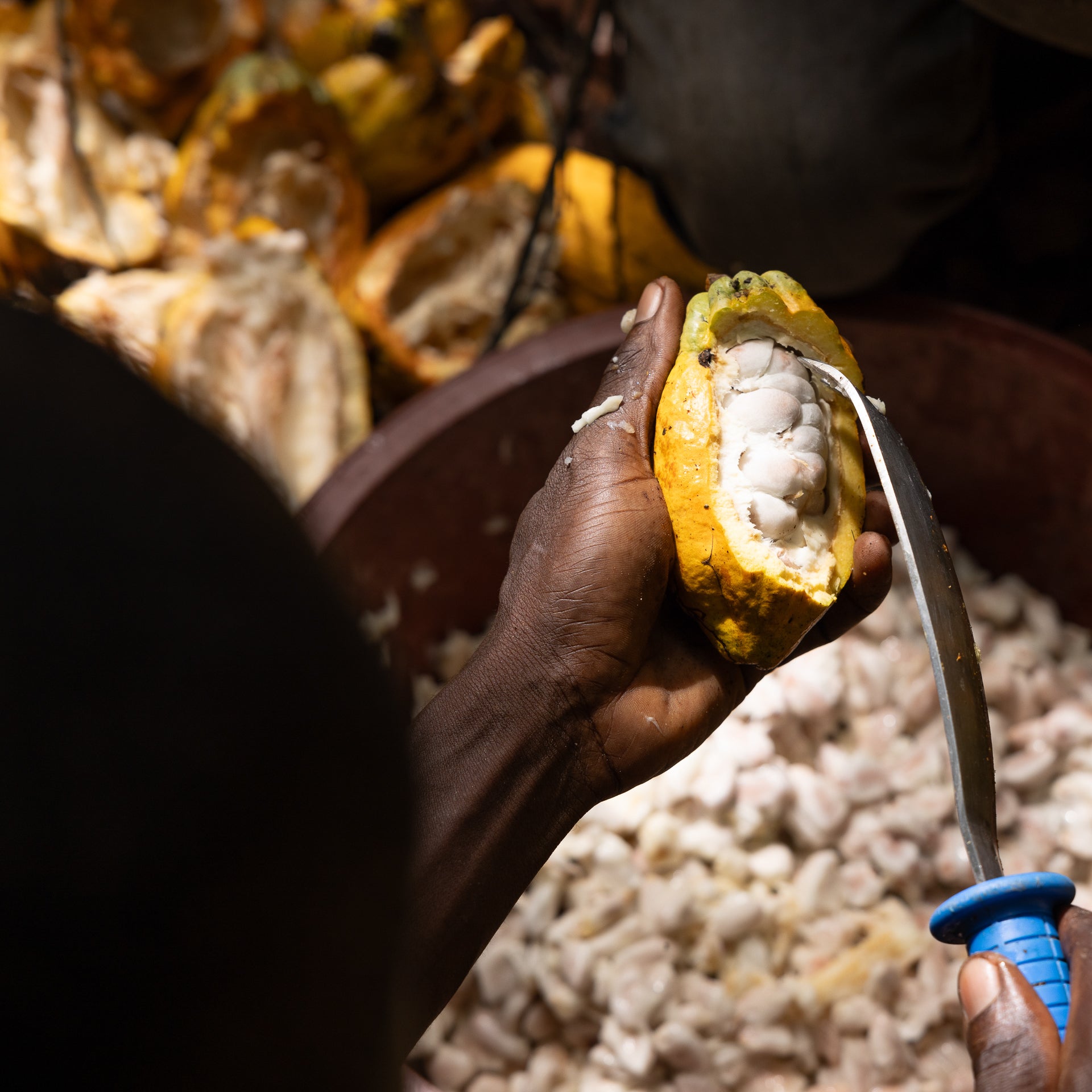 What the Global Cocoa Crisis Means for You