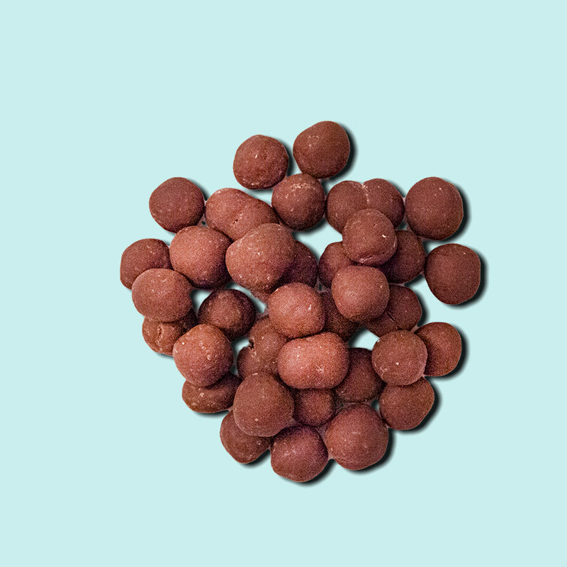 Chocolate Covered Hazelnuts